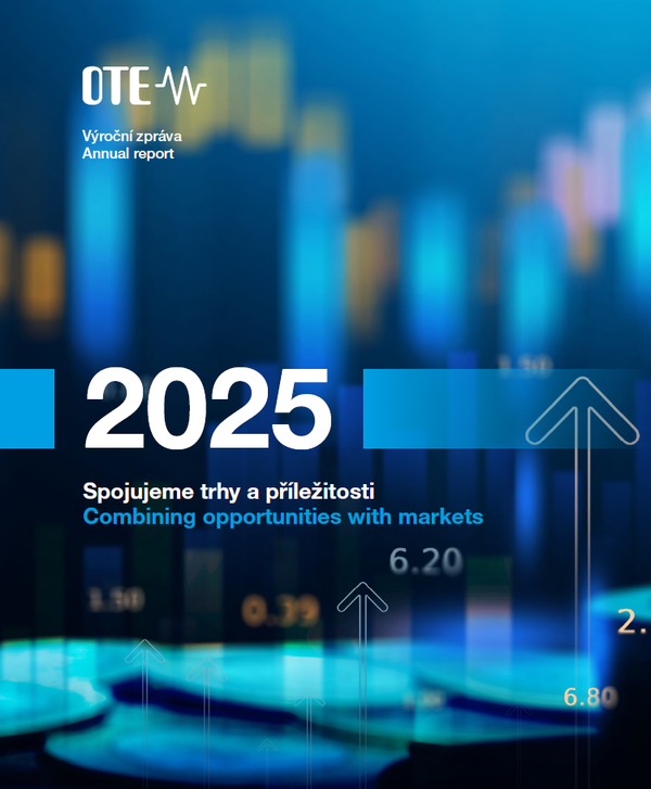 annual report 2025